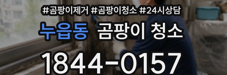 누읍동 곰팡이 청소