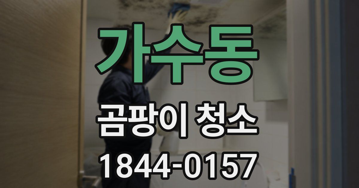 가수동 곰팡이 청소