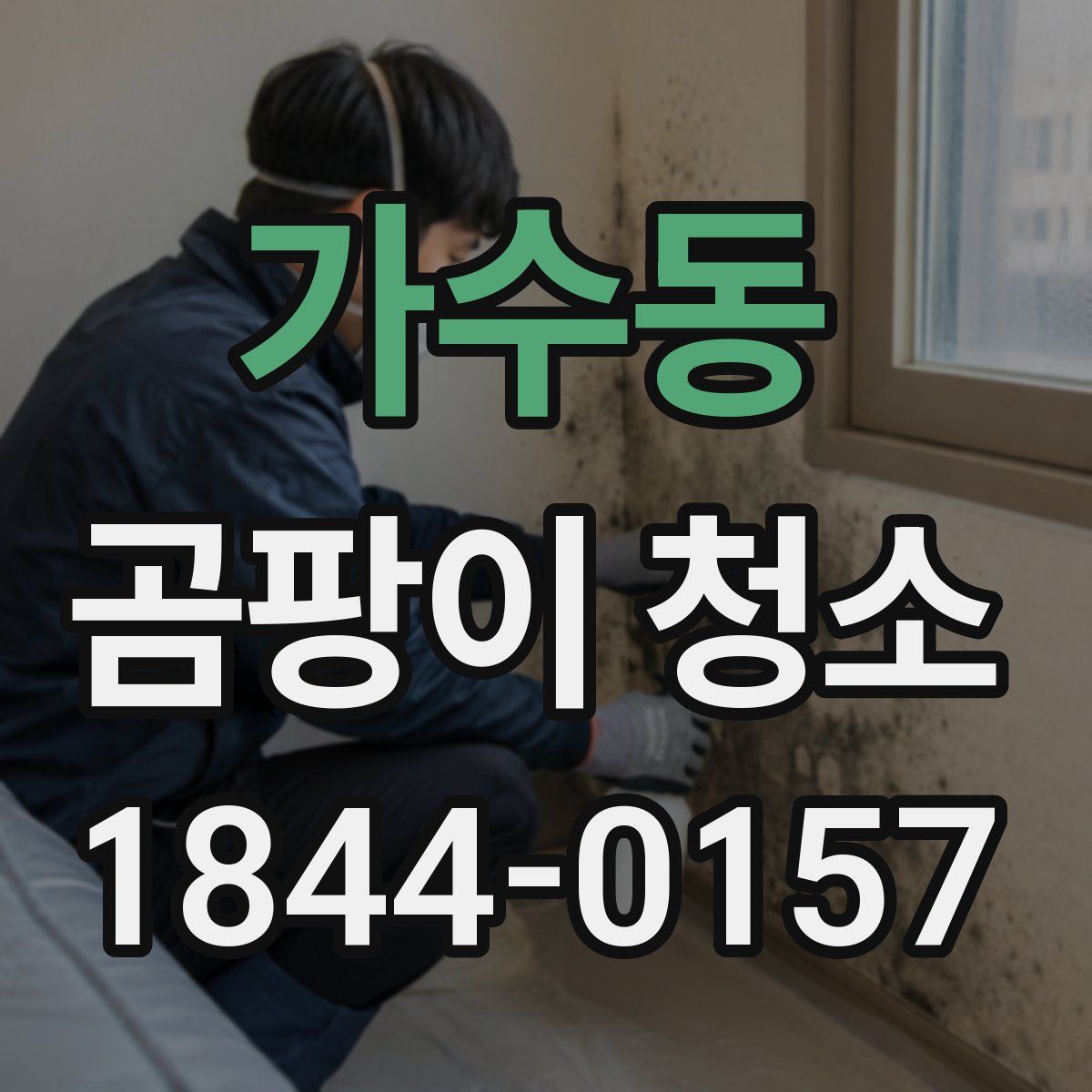 가수동 곰팡이 청소