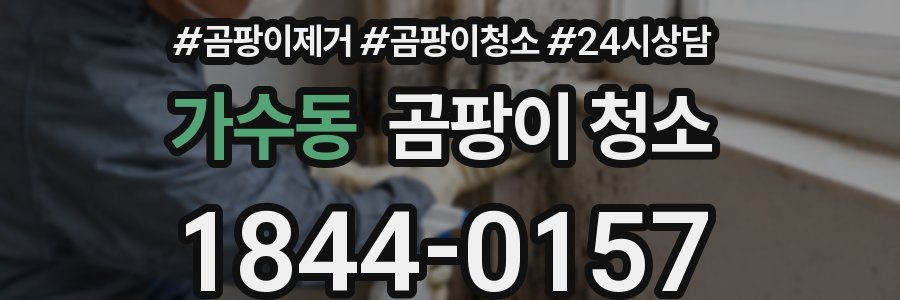 가수동 곰팡이 청소