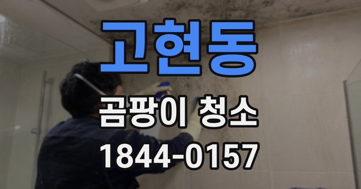 고현동 곰팡이 청소