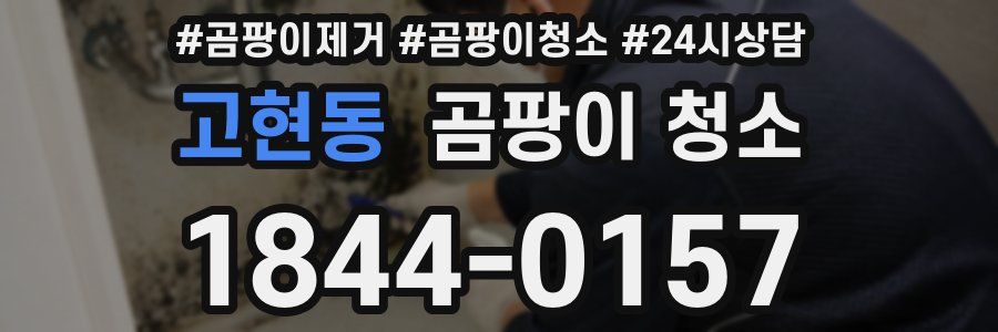 고현동 곰팡이 청소