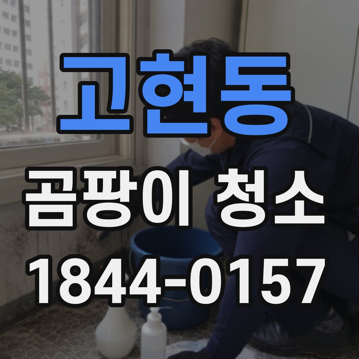 고현동 곰팡이 청소