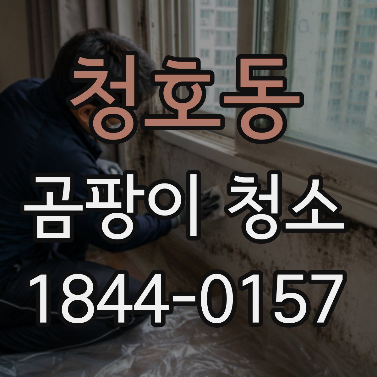 청호동 곰팡이 청소
