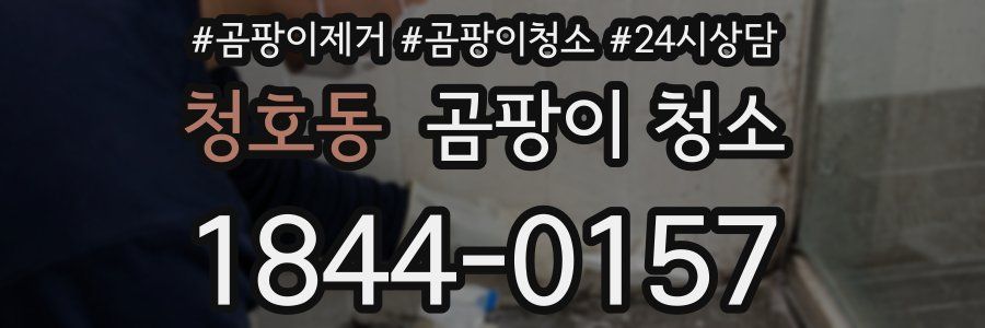 청호동 곰팡이 청소