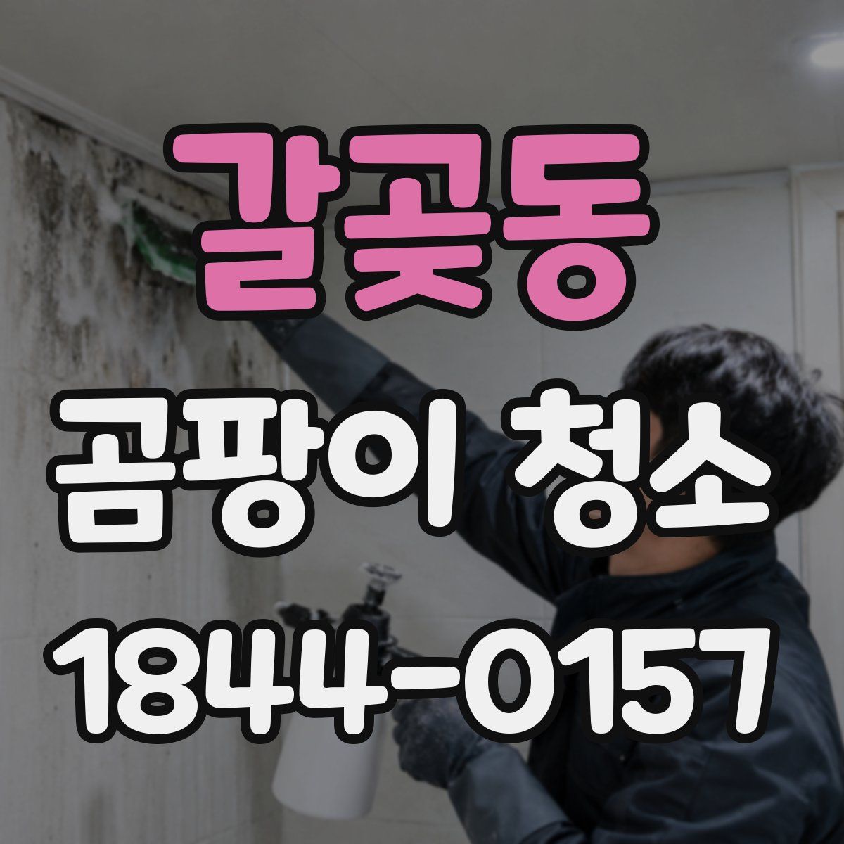 갈곶동 곰팡이 청소