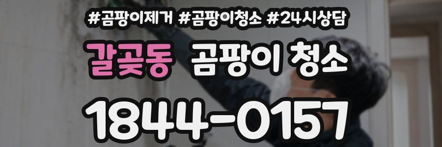 갈곶동 곰팡이 청소