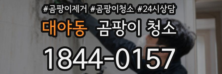 대야동 곰팡이 청소