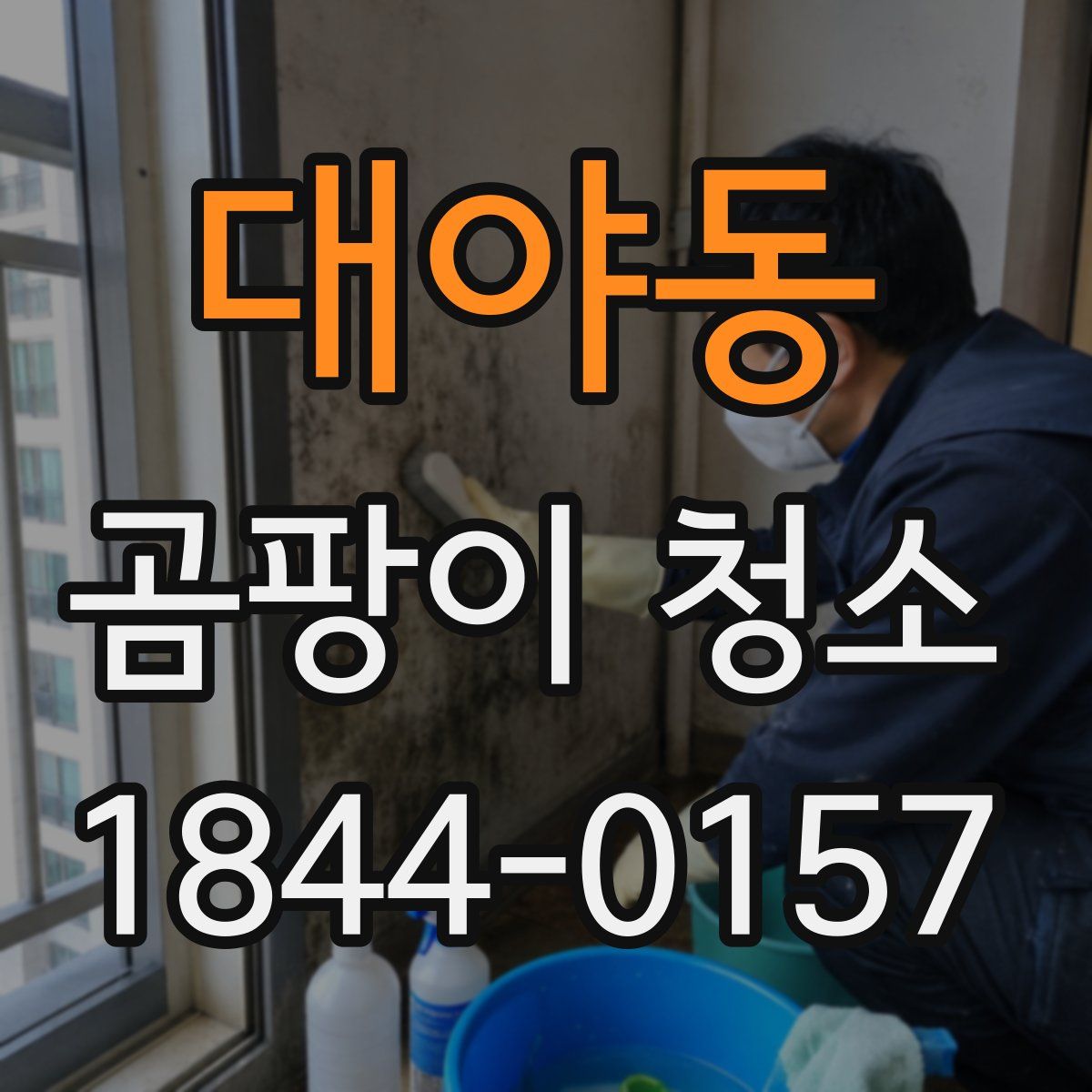 대야동 곰팡이 청소