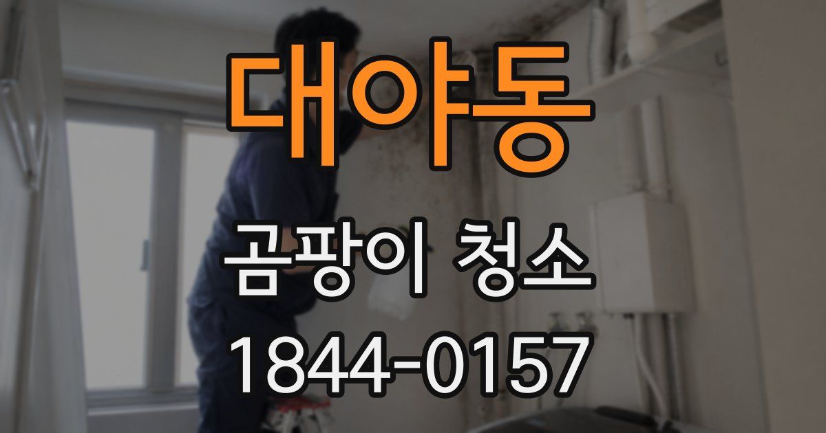 대야동 곰팡이 청소