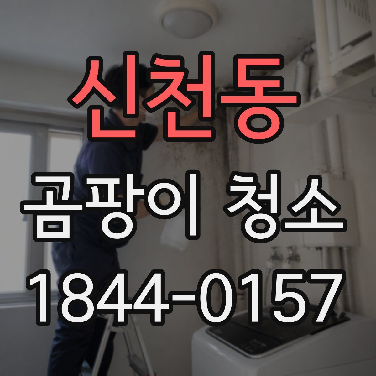 신천동 곰팡이 청소