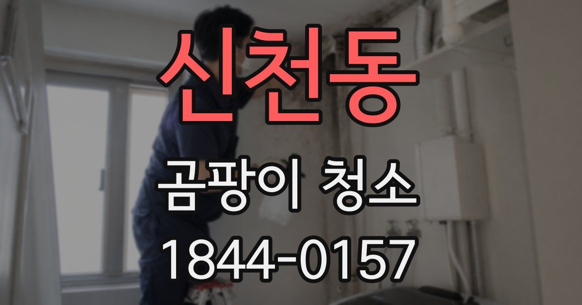 신천동 곰팡이 청소