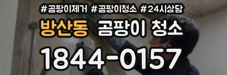 방산동 곰팡이 청소