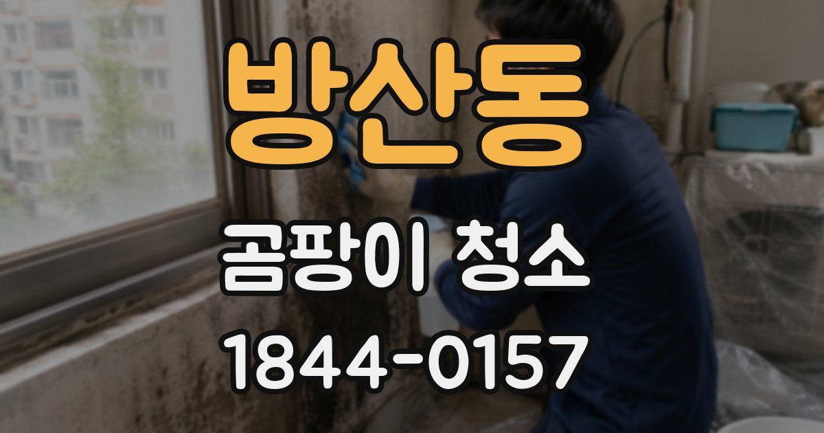 방산동 곰팡이 청소