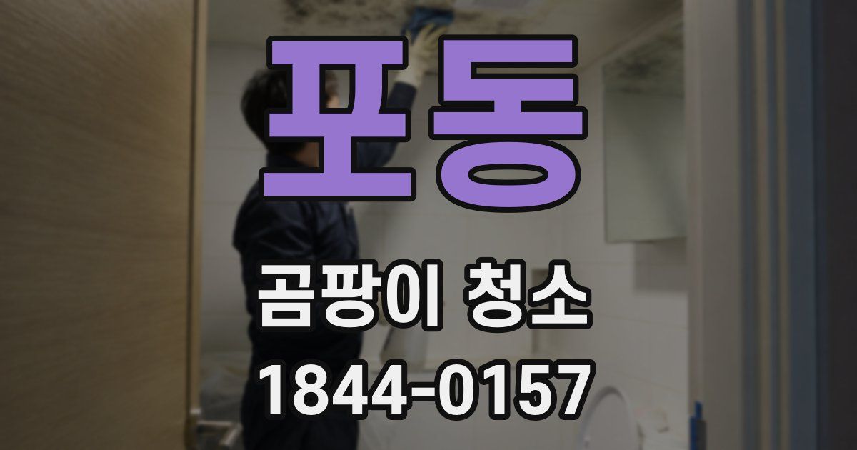 포동 곰팡이 청소