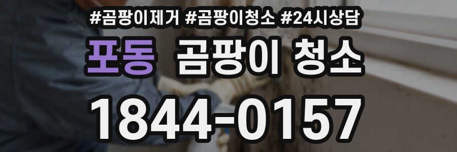 포동 곰팡이 청소