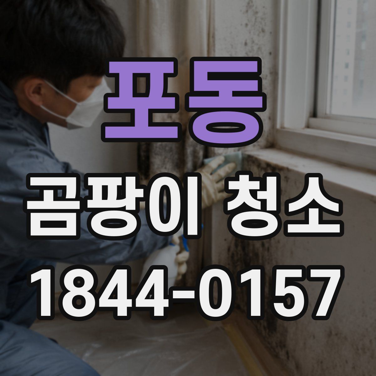 포동 곰팡이 청소