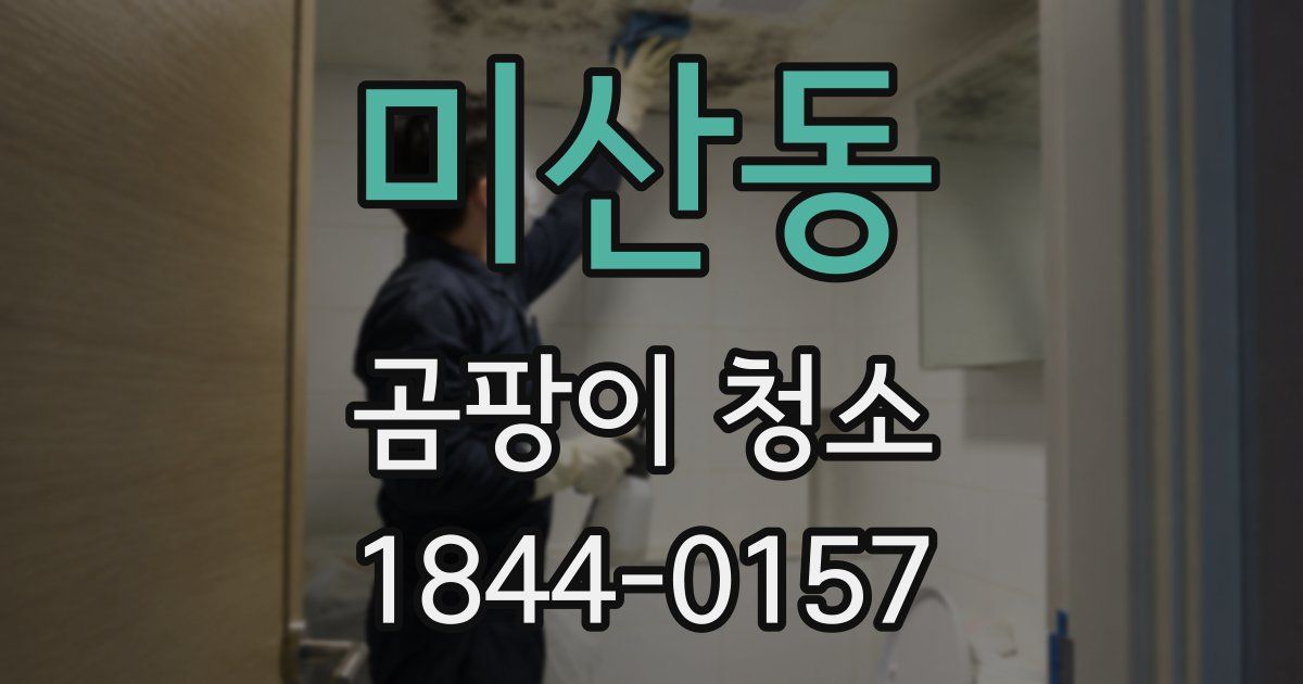 미산동 곰팡이 청소
