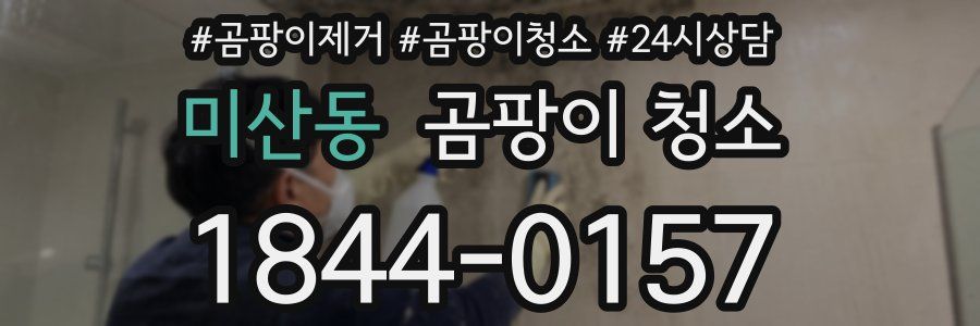 미산동 곰팡이 청소
