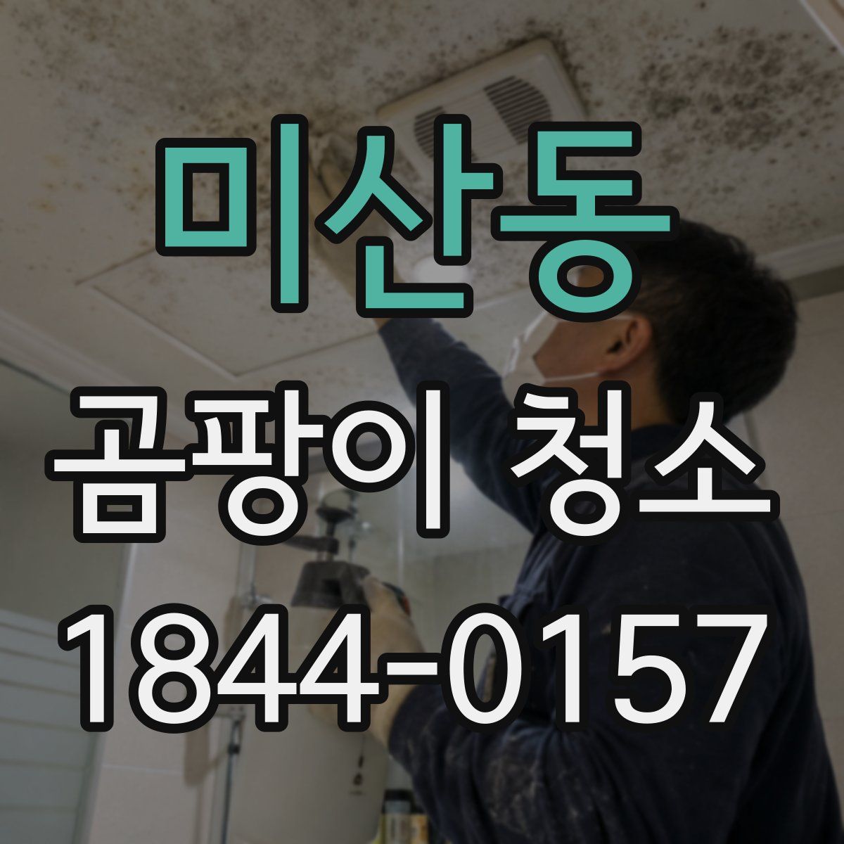 미산동 곰팡이 청소
