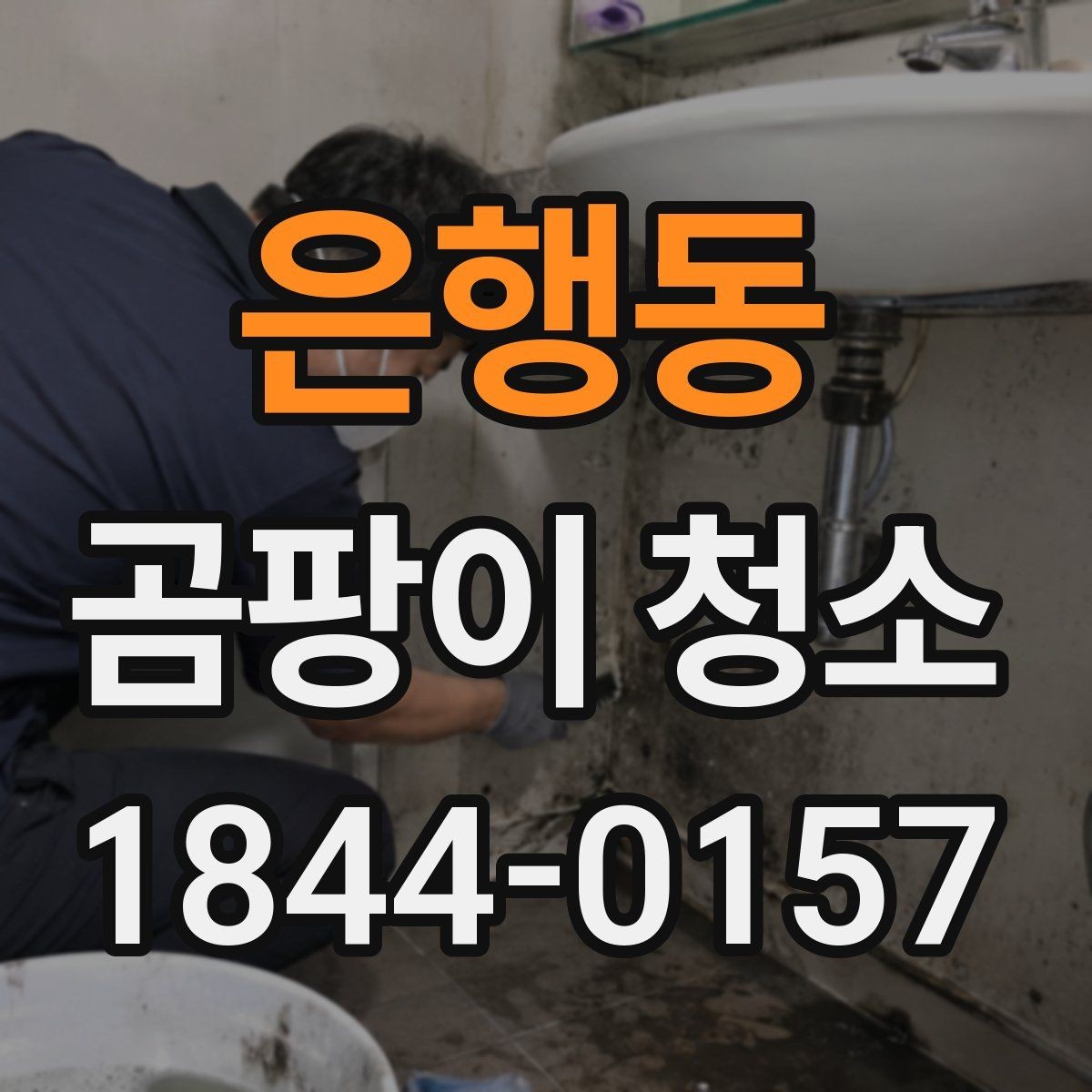 은행동 곰팡이 청소 오염 원인별로 달라지는 작업 범위 정리