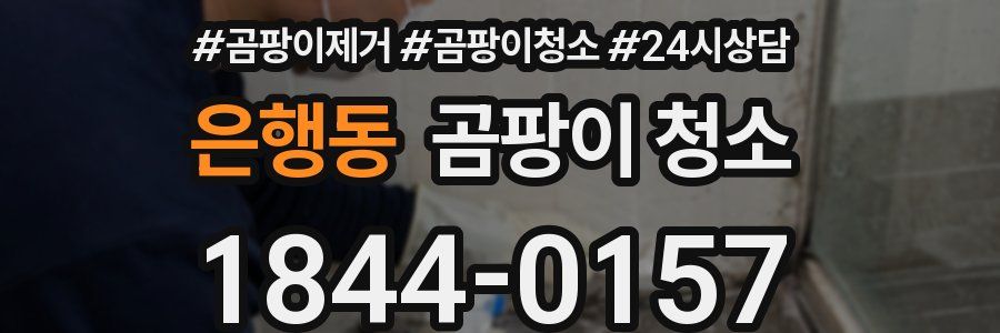 은행동 곰팡이 청소
