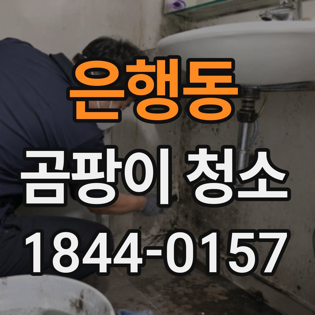 은행동 곰팡이 청소