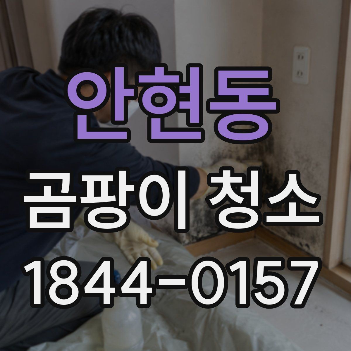 안현동 곰팡이 청소 아이방 벽지 작업 전 안전하게 준비하는 요령