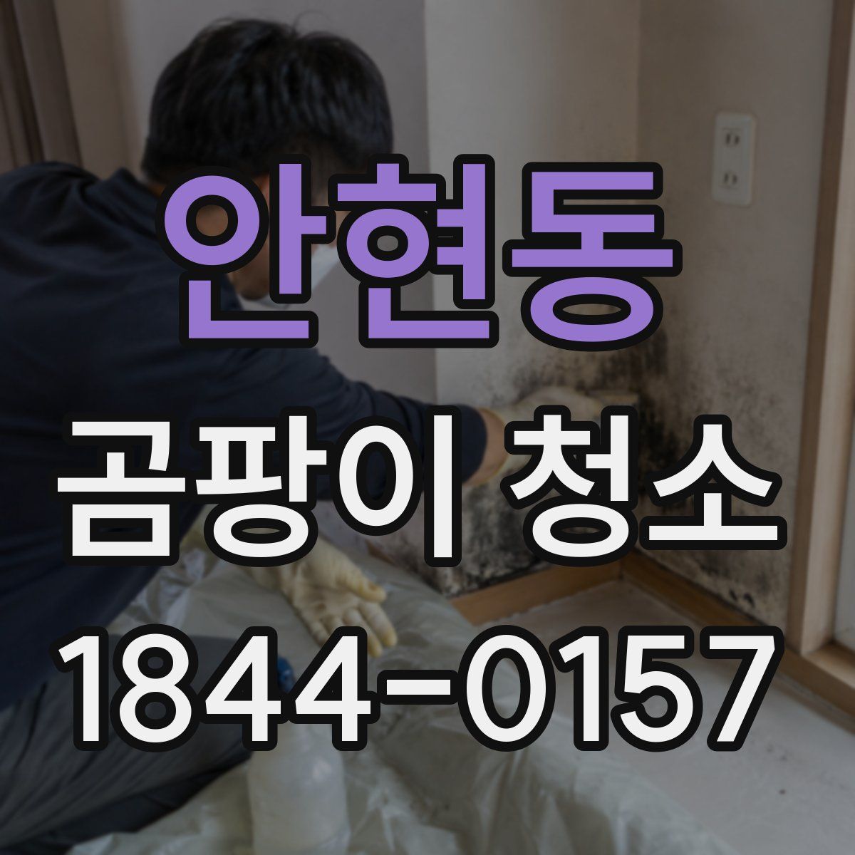 안현동 곰팡이 청소