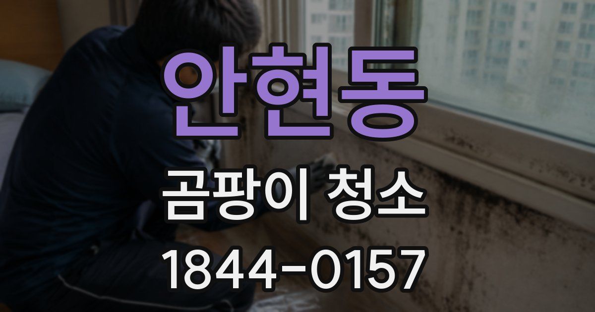 안현동 곰팡이 청소
