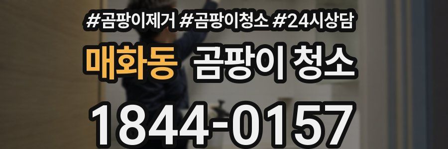 매화동 곰팡이 청소