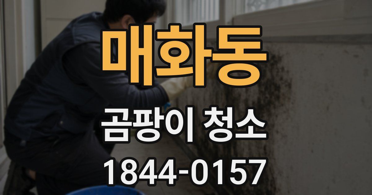 매화동 곰팡이 청소