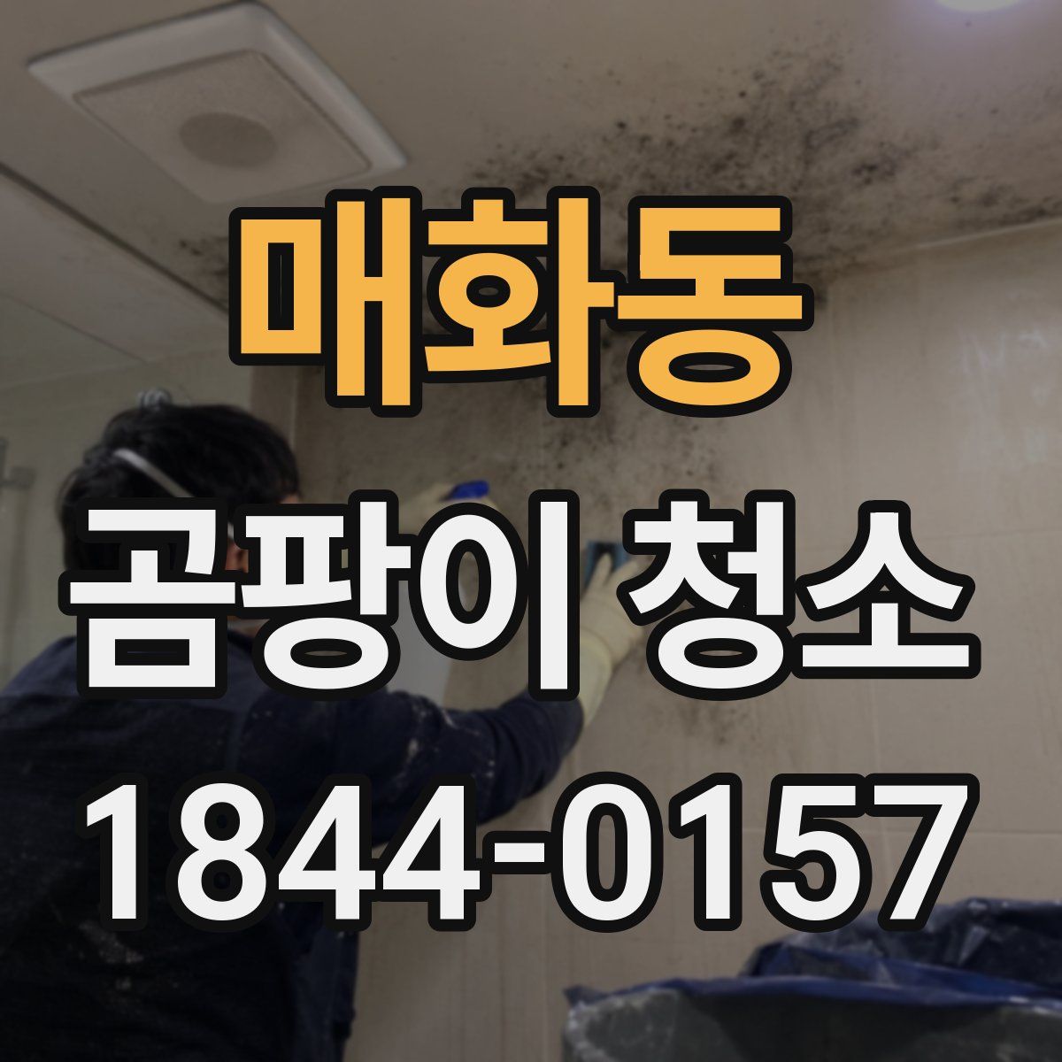 매화동 곰팡이 청소