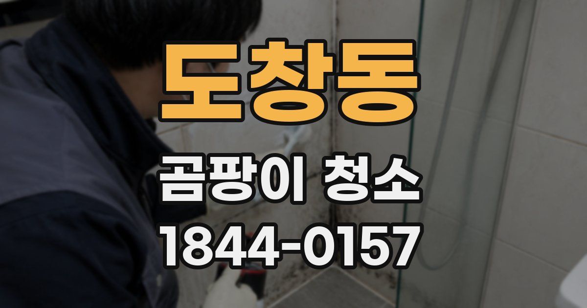 도창동 곰팡이 청소