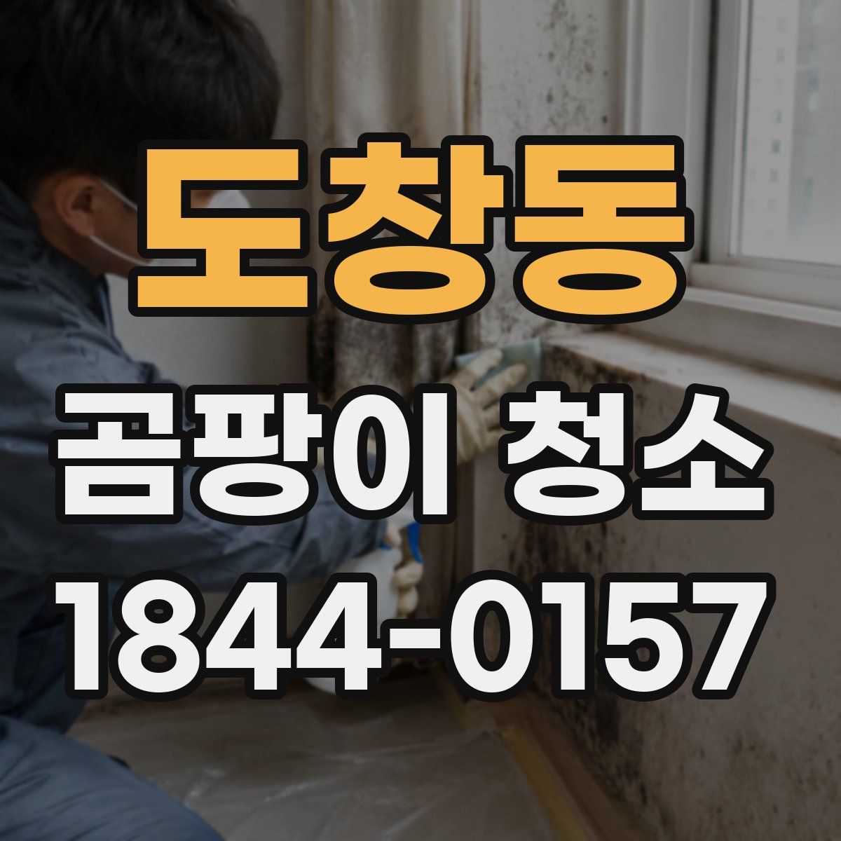도창동 곰팡이 청소