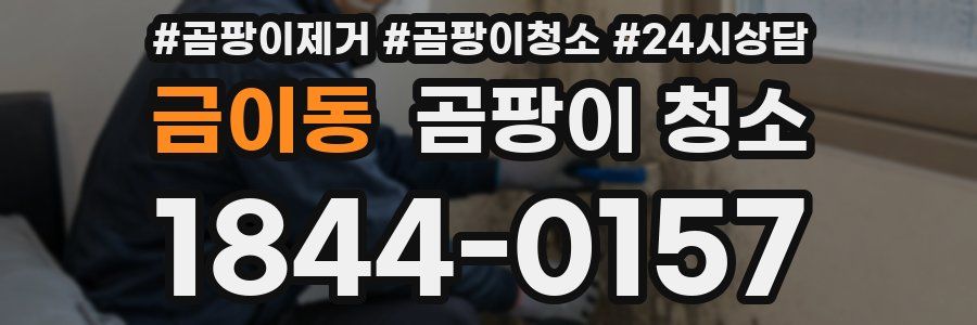 금이동 곰팡이 청소