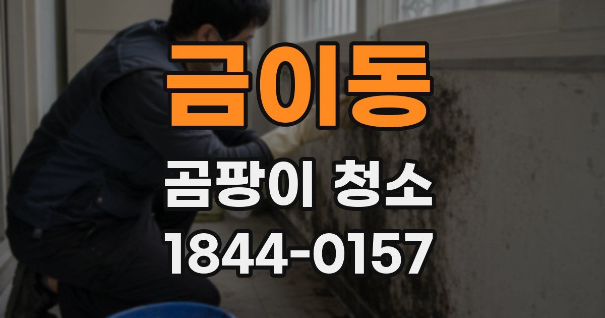 금이동 곰팡이 청소