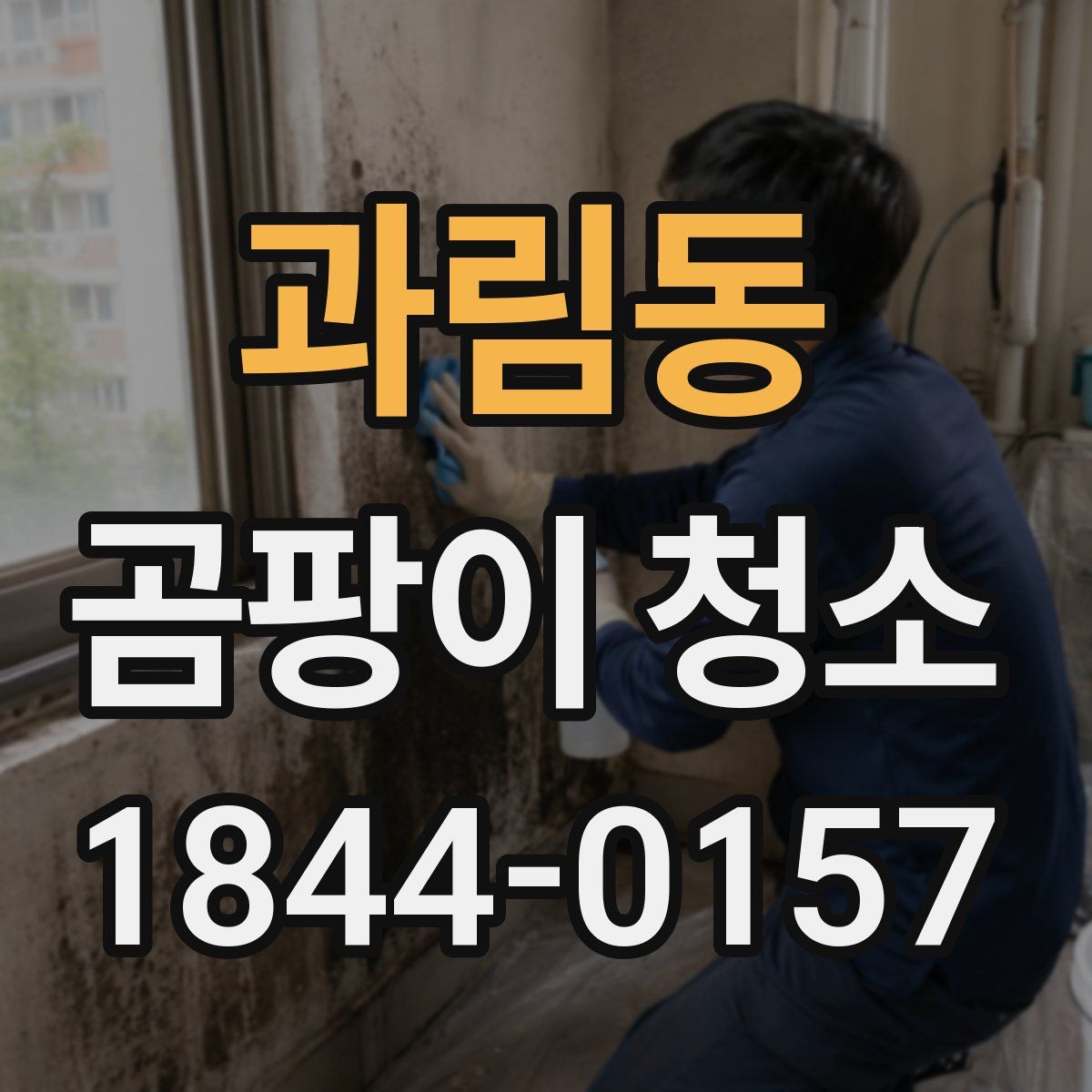 과림동 곰팡이 청소