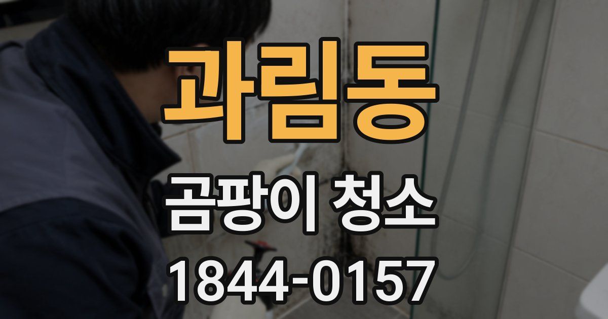 과림동 곰팡이 청소