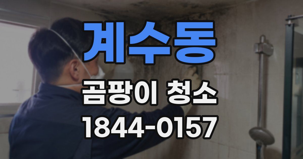 계수동 곰팡이 청소