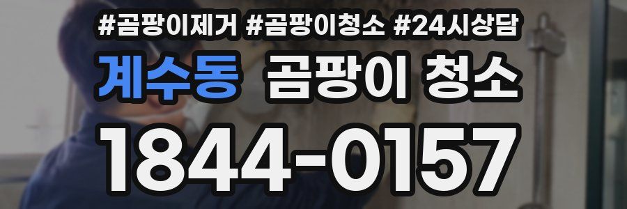계수동 곰팡이 청소