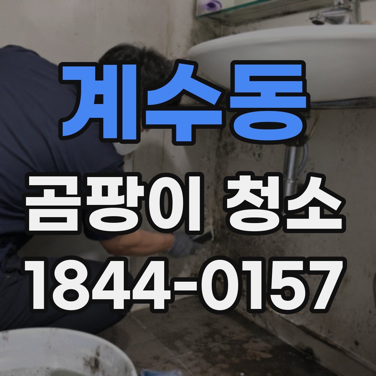 계수동 곰팡이 청소