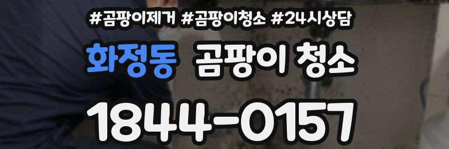 화정동 곰팡이 청소