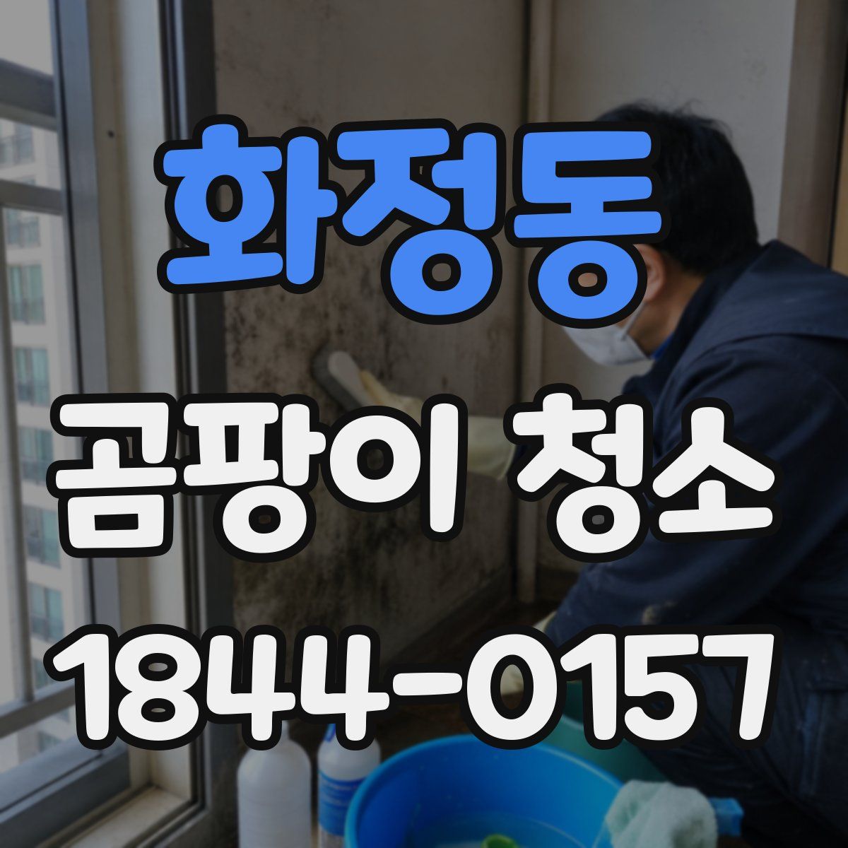 화정동 곰팡이 청소