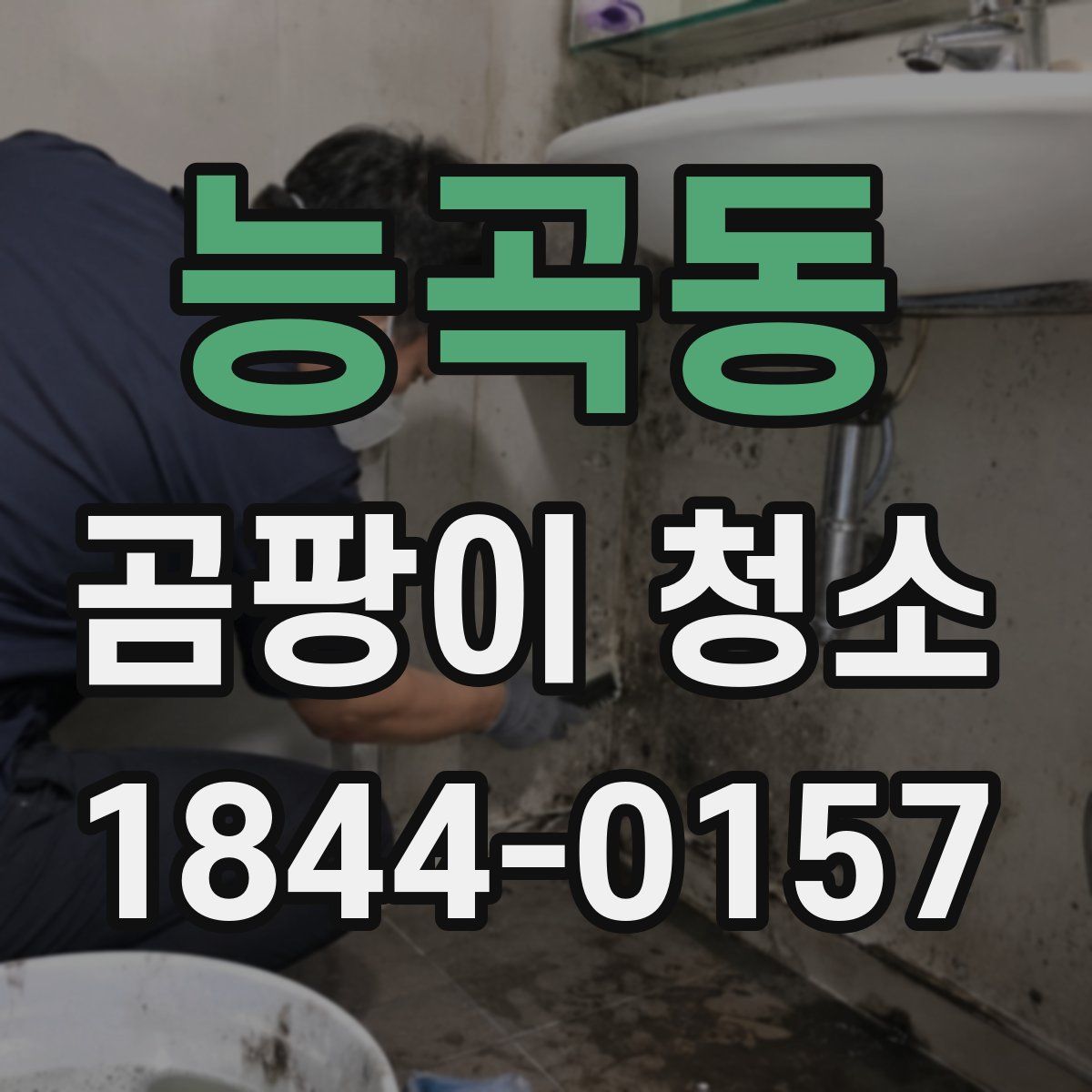 능곡동 곰팡이 청소
