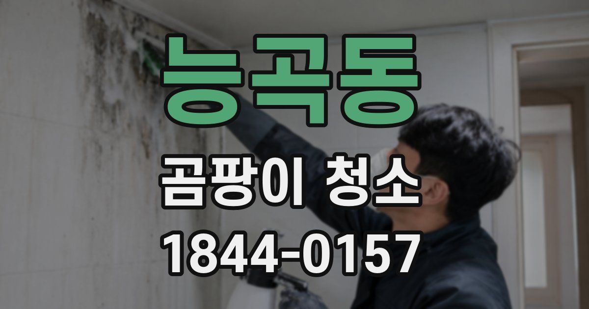 능곡동 곰팡이 청소
