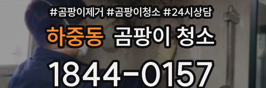 하중동 곰팡이 청소