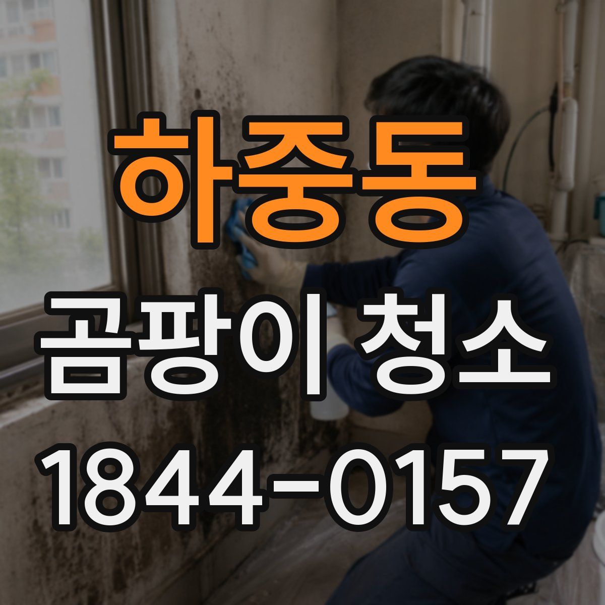 하중동 곰팡이 청소