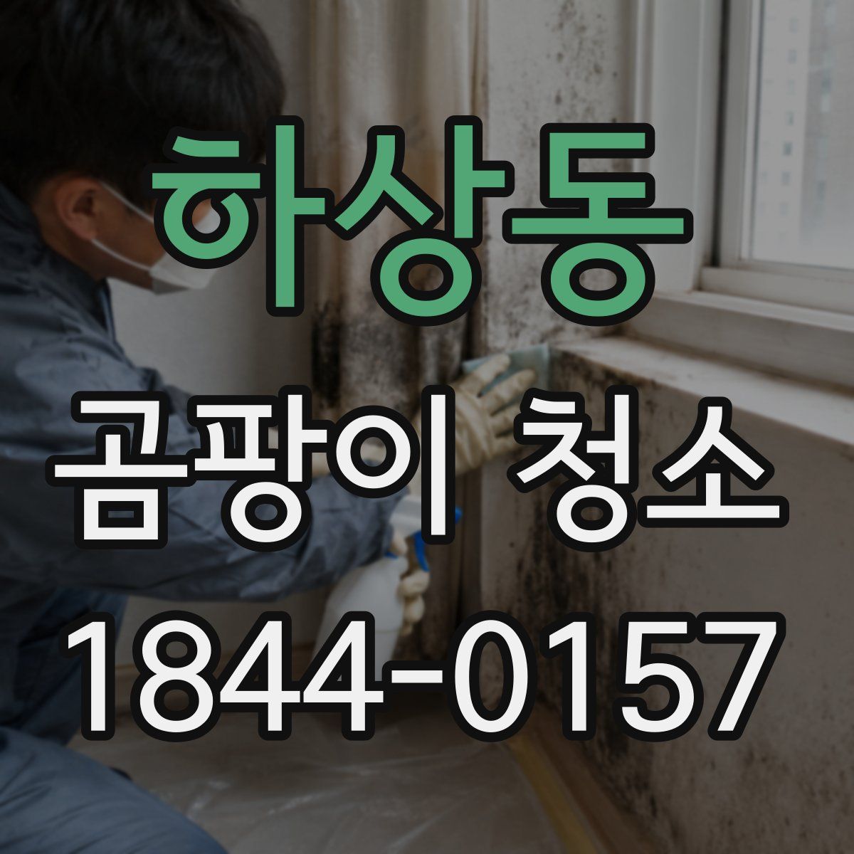 하상동 곰팡이 청소