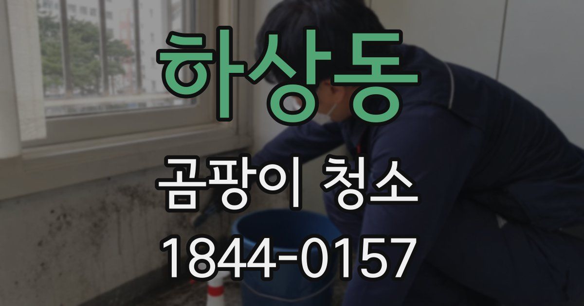 하상동 곰팡이 청소